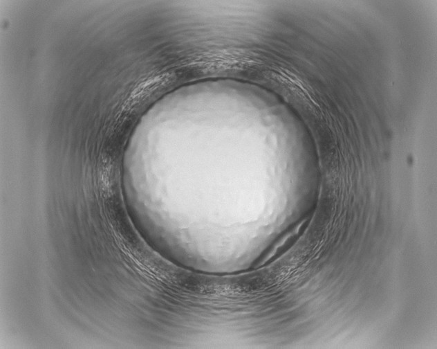 X0000058810503200510171538