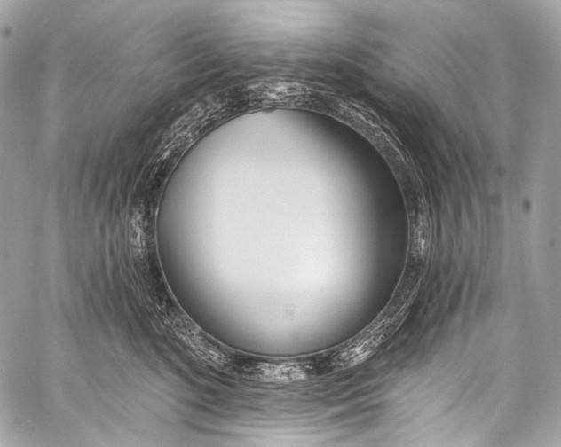 X0000058810520200510171538
