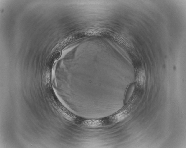 X0000058810526200510171537