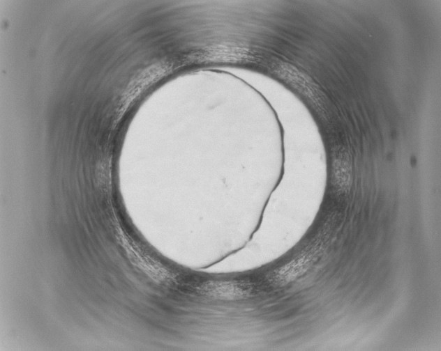 X0000058810534200510171537