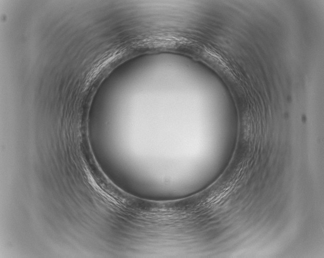 X0000058810538200510171537