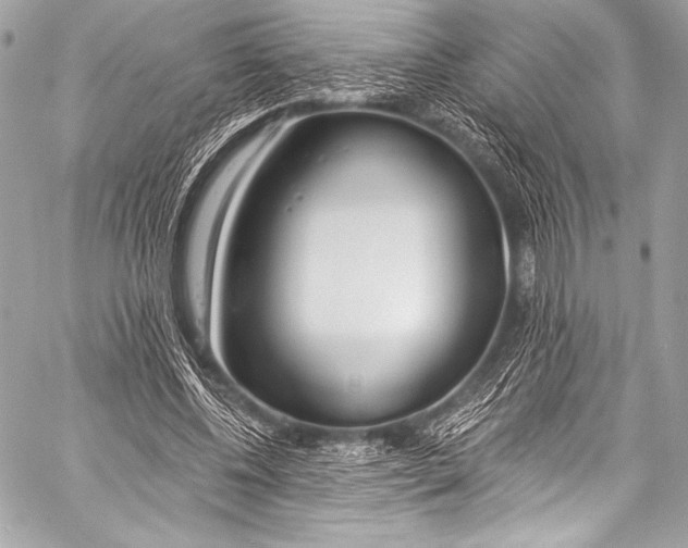 X0000058810540200510171537