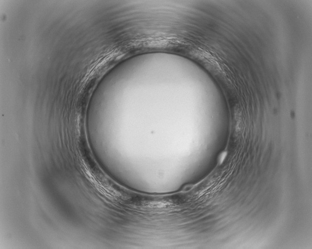 X0000058810542200510171537