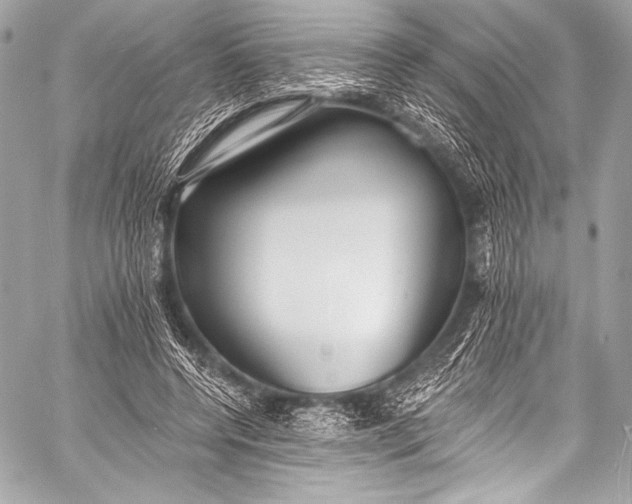 X0000058810544200510171537