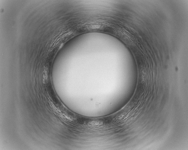 X0000058810546200510171537