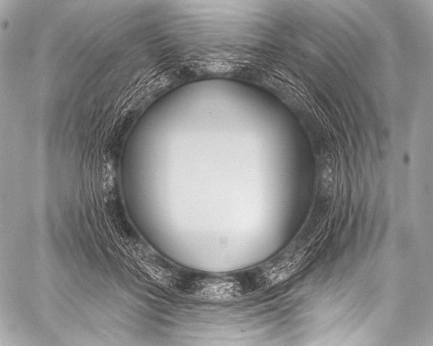 X0000058810555200510171537