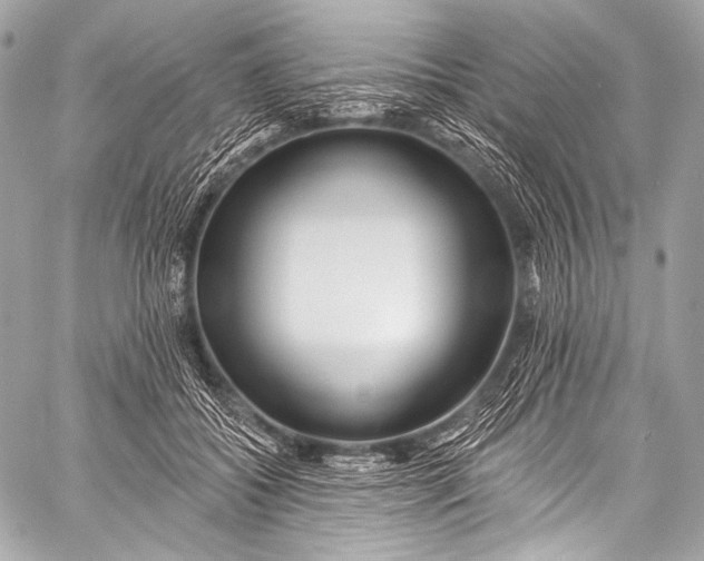 X0000058810556200510171537