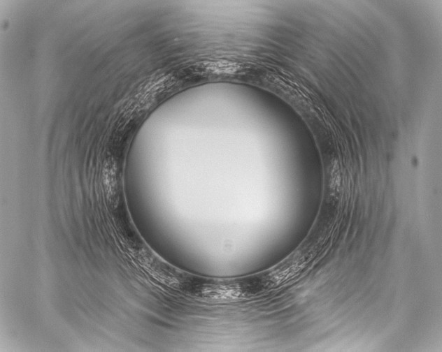 X0000058810559200510171537
