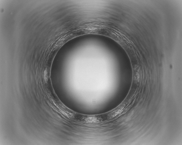 X0000058810562200510171537