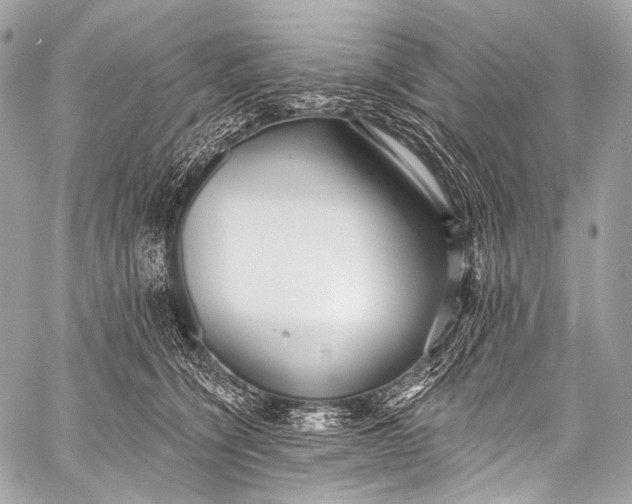 X0000058810564200510171537