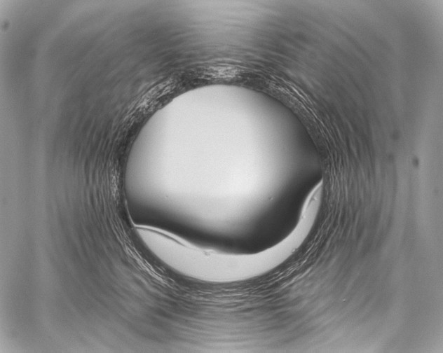 X0000058810568200510171537