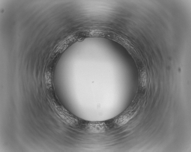 X0000058810571200510171537