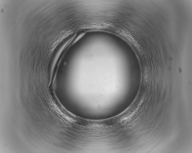 X0000058810585200510171537