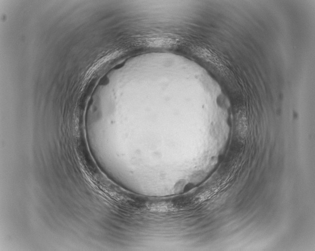 X0000058810587200510171536