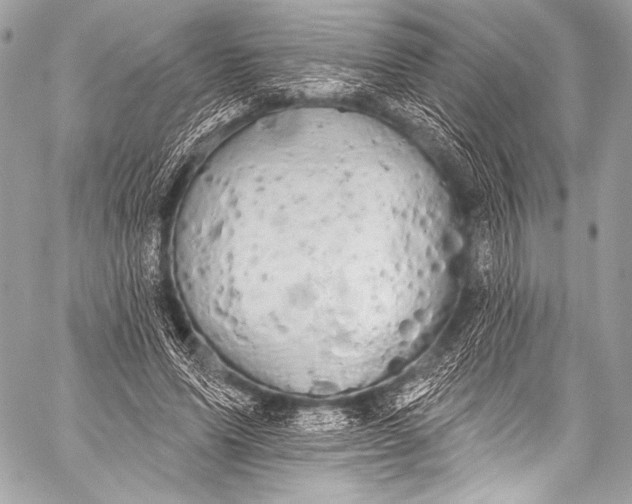 X0000058810591200510171536
