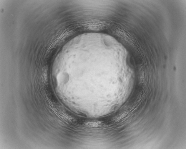 X0000058810595200510171536