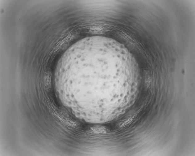 X0000058810603200510171536