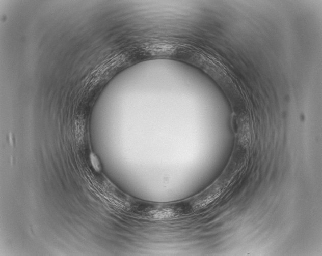 X0000058810604200510171536