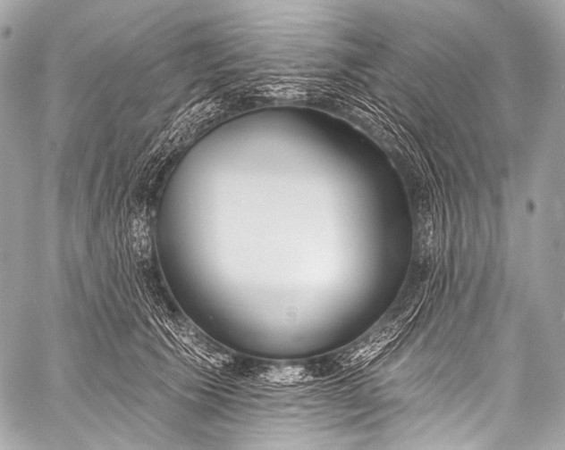 X0000058810609200510171536
