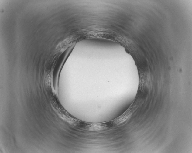 X0000058810623200510171536