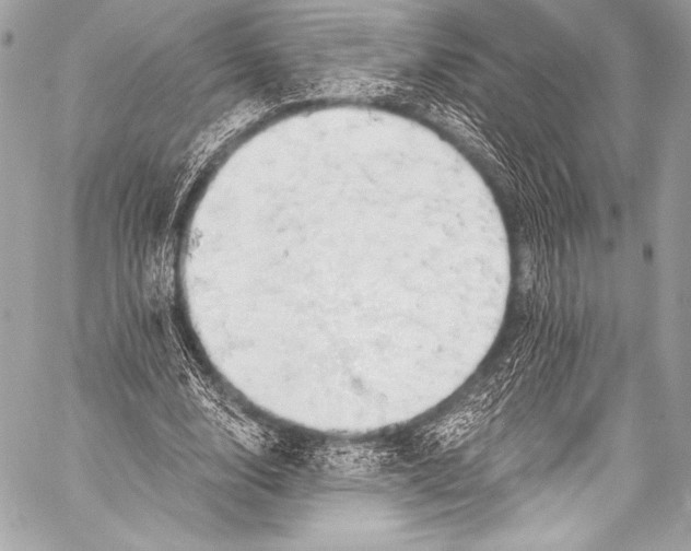 X0000058810632200510171535