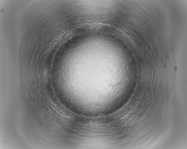 X0000058810641200510171535