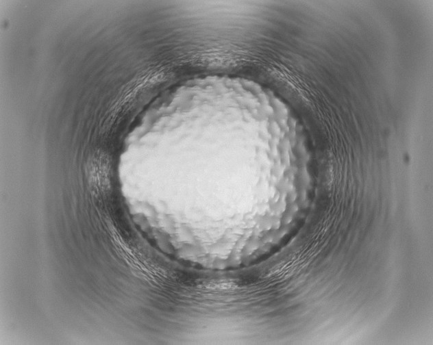 X0000058810643200510171535