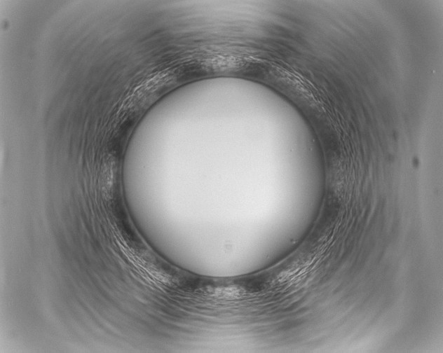 X0000058810645200510171535