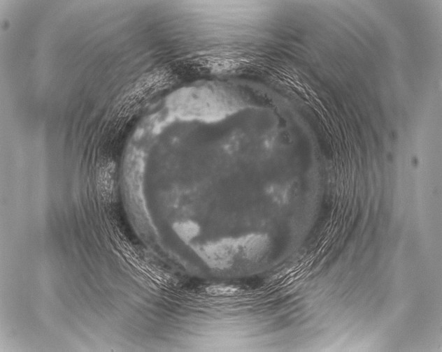 X0000058810650200510171536