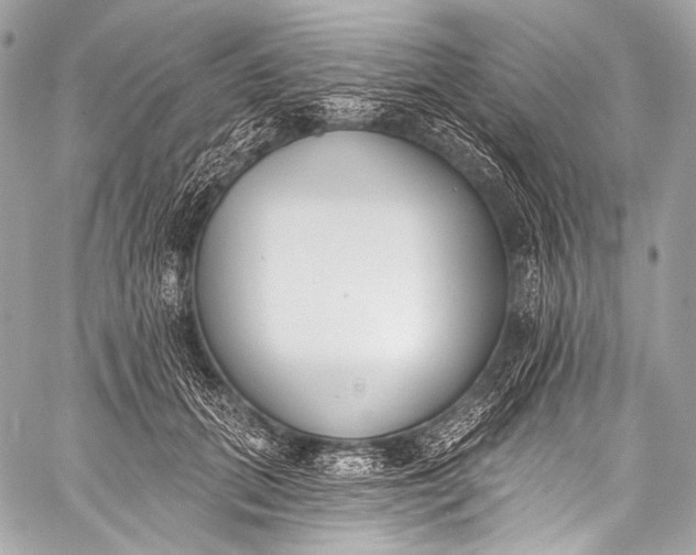 X0000058810655200510171536
