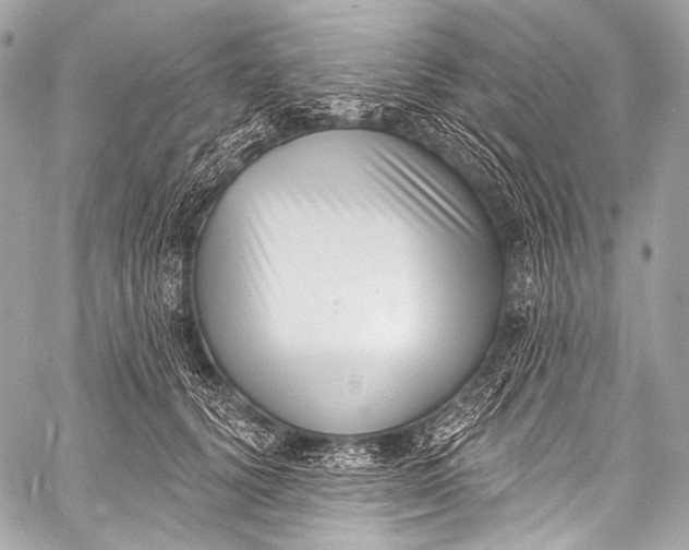 X0000058810656200510171536