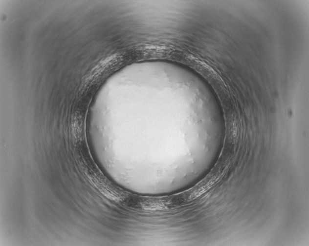 X0000058810661200510171536