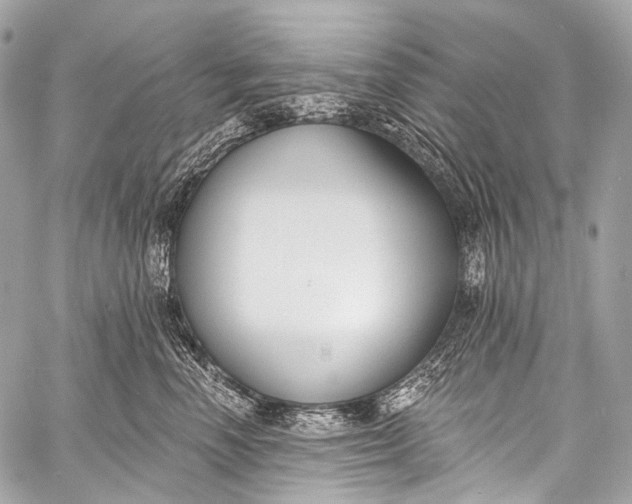 X0000058810666200510171536
