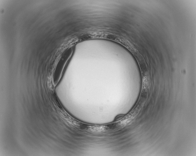 X0000058810671200510171536