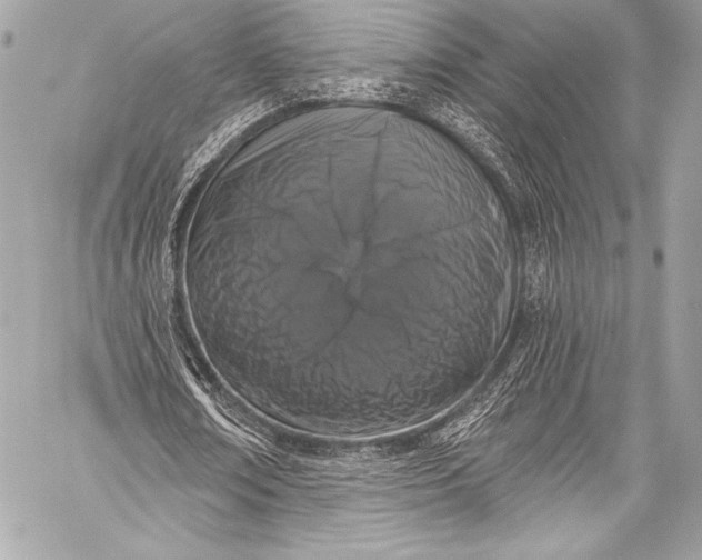 X0000058810674200510171535