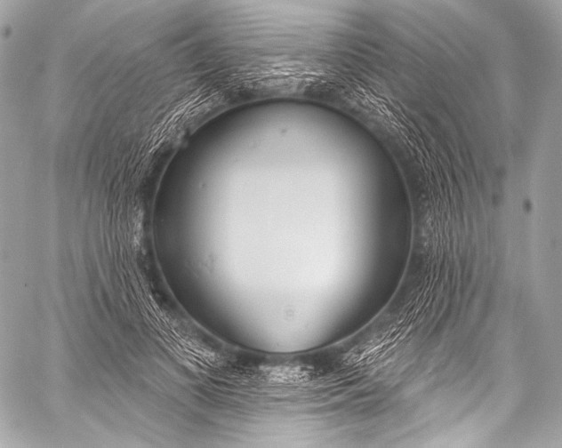 X0000058810693200510171535