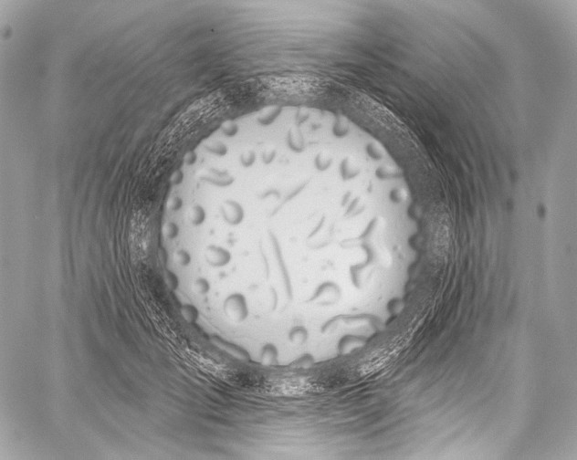 X0000058810701200510171535