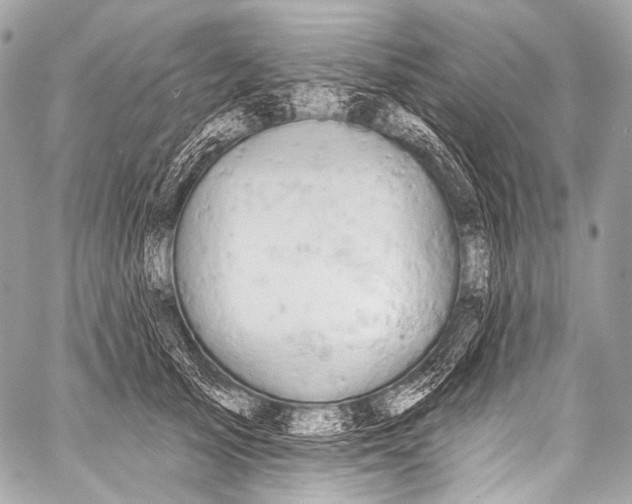 X0000058810705200510171535