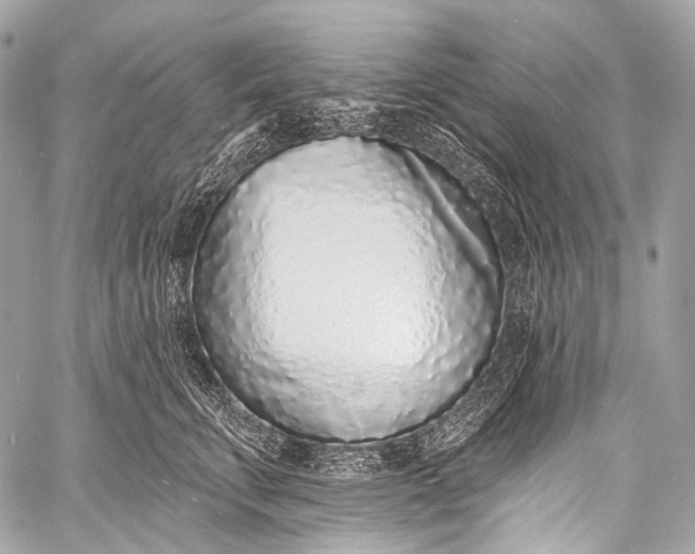 X0000058810711200510171534