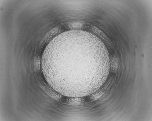 X0000058810717200510171534