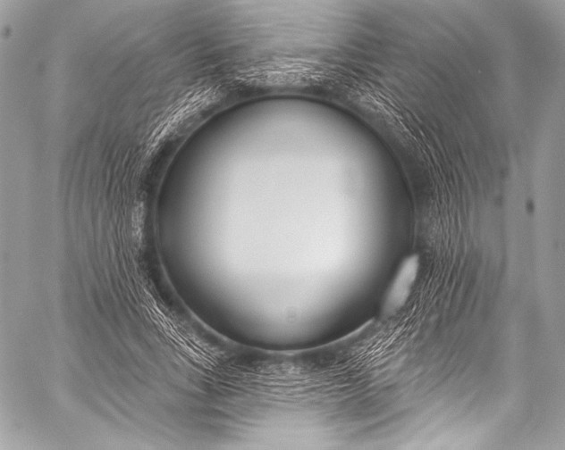 X0000058810735200510171534