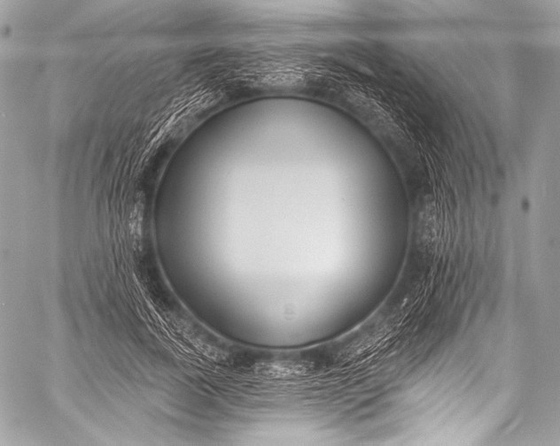 X0000058810739200510171534