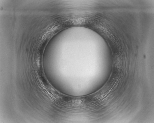 X0000058810740200510171534