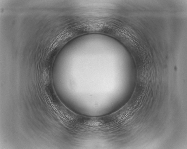 X0000058810743200510171534