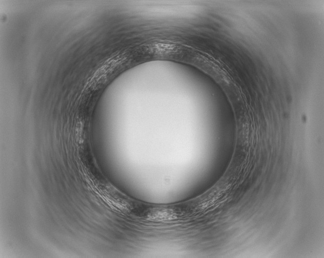 X0000058810750200510171534