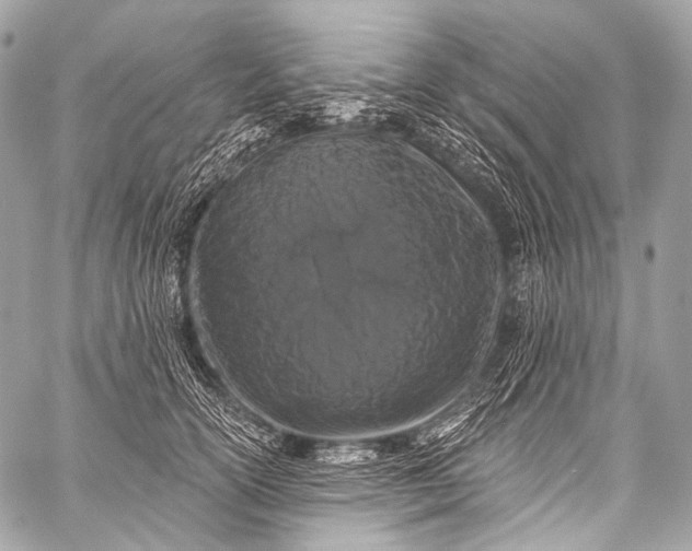 X0000058810754200510171534