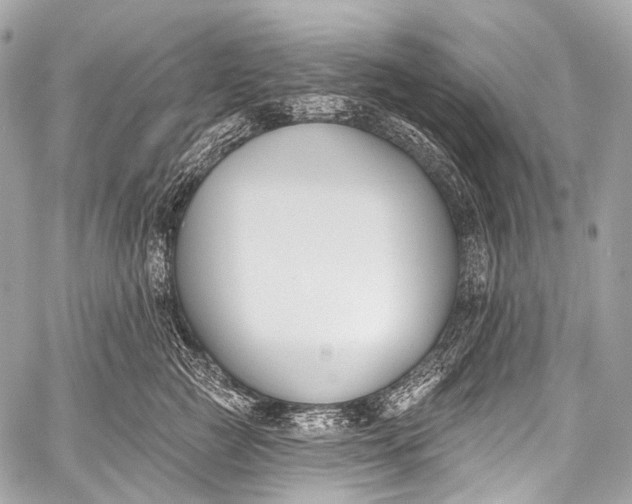X0000058810761200510171534