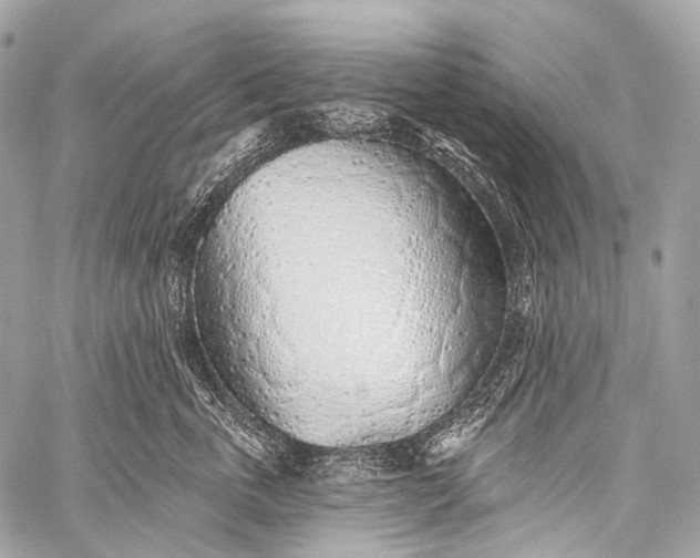 X0000058810763200510171534