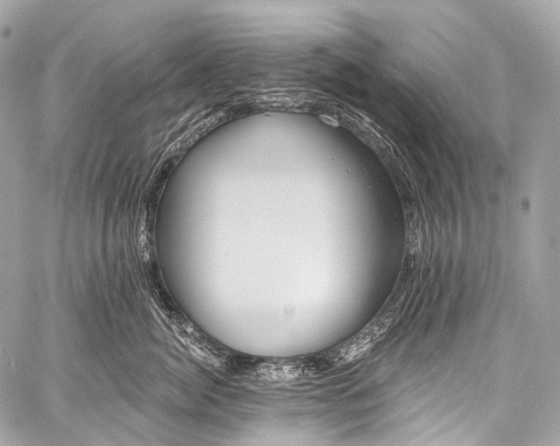X0000058810764200510171534