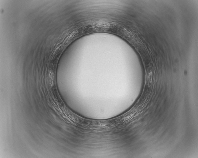 X0000058810772200510171533